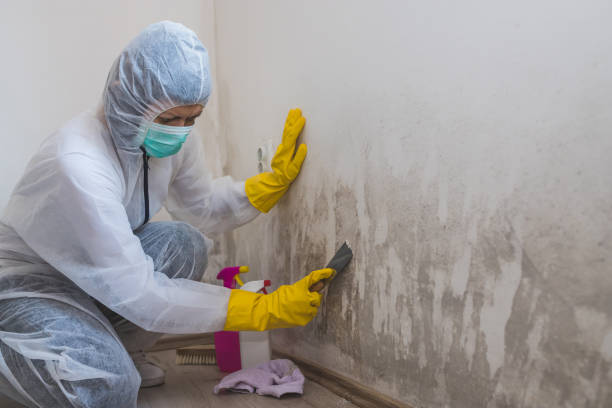 Crawl Space Mold Removal in Sparta, WI