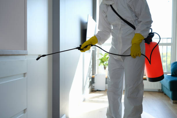 Best Crawl Space Mold Removal  in Sparta, WI